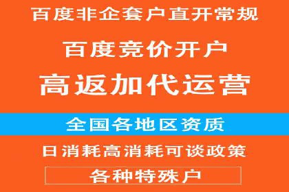 案例剖析：高价关键词推广的效益